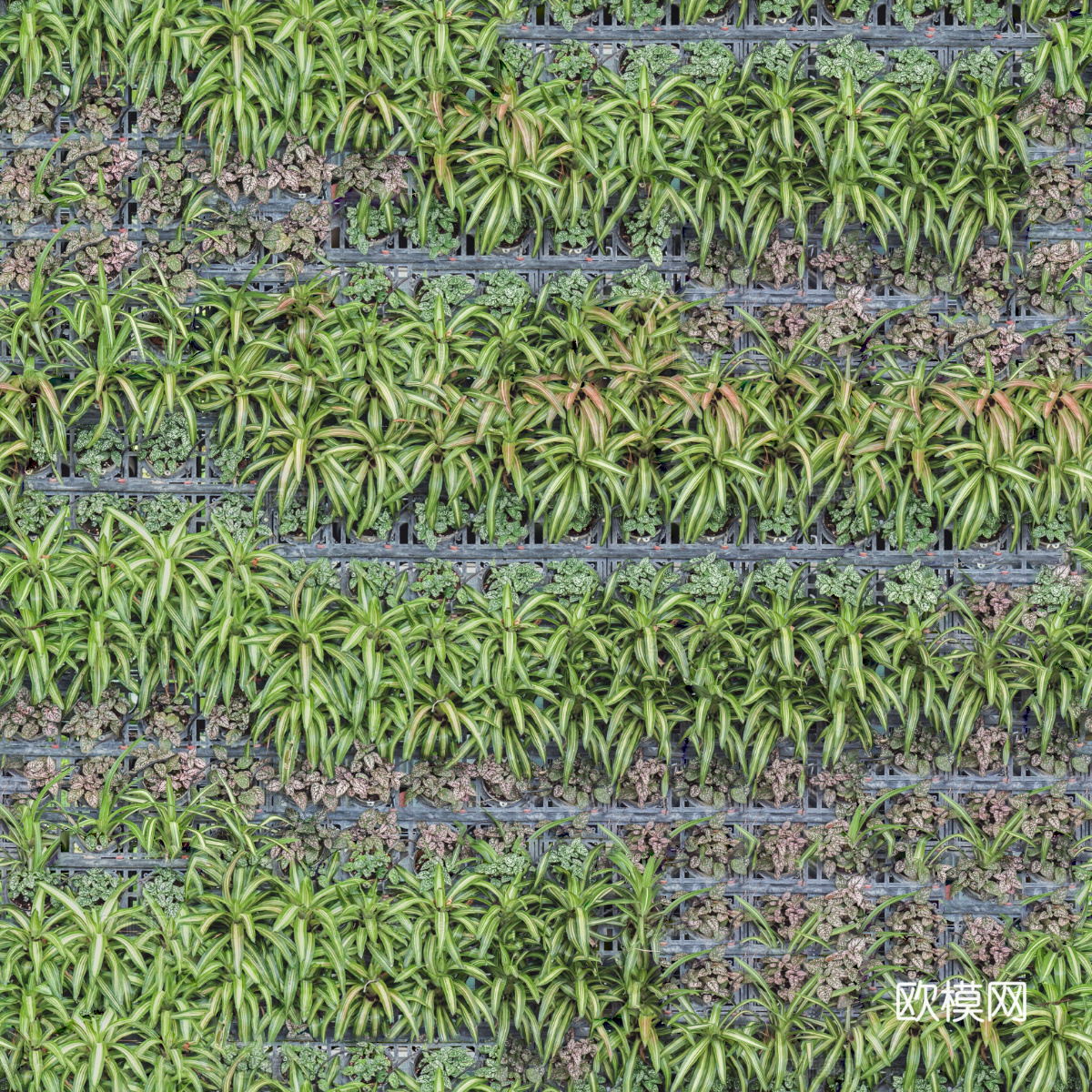 垂直绿植墙，生态绿植墙绿化墙60