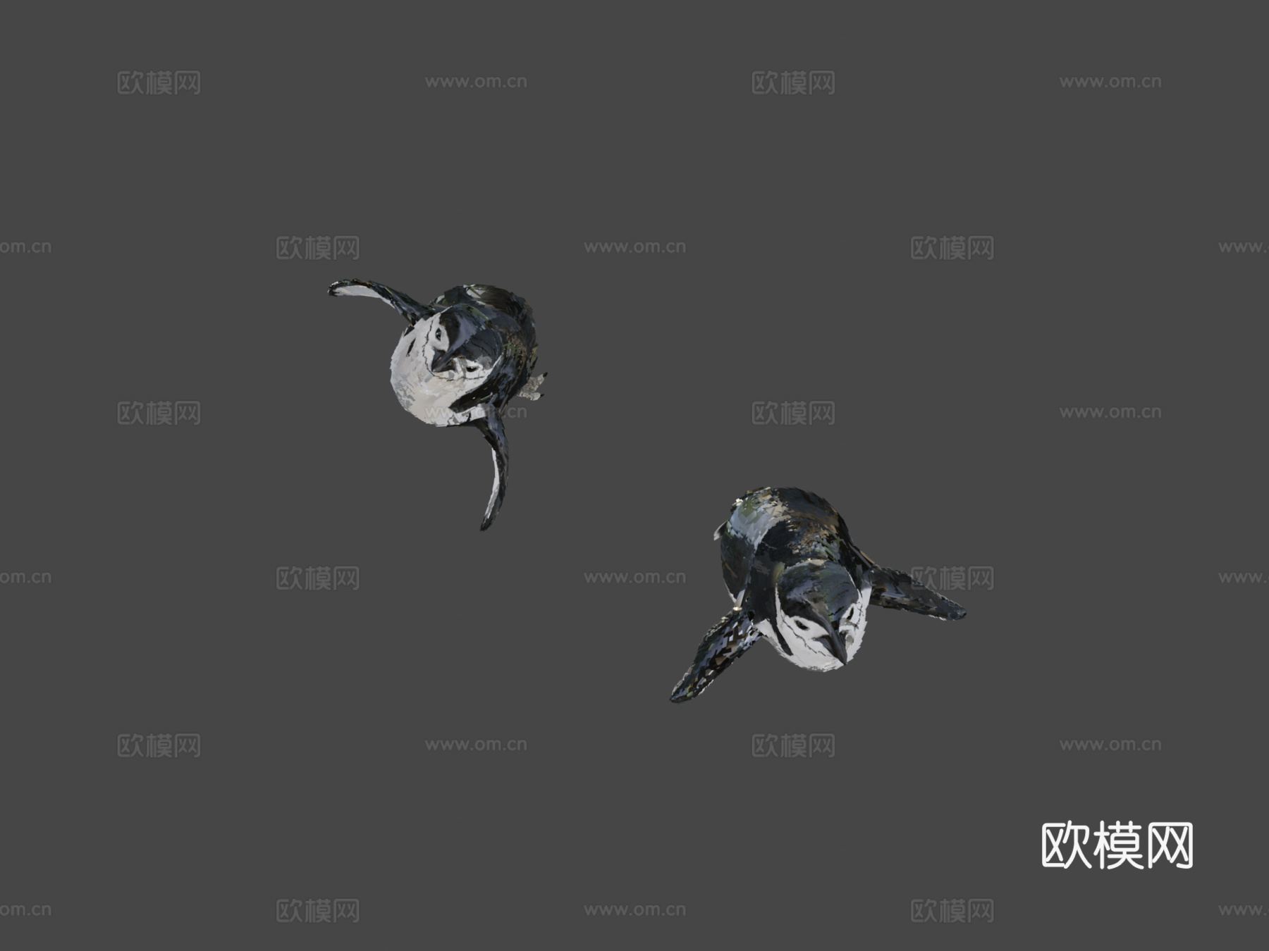 南极企鹅水下3d模型下载（渲染图5）