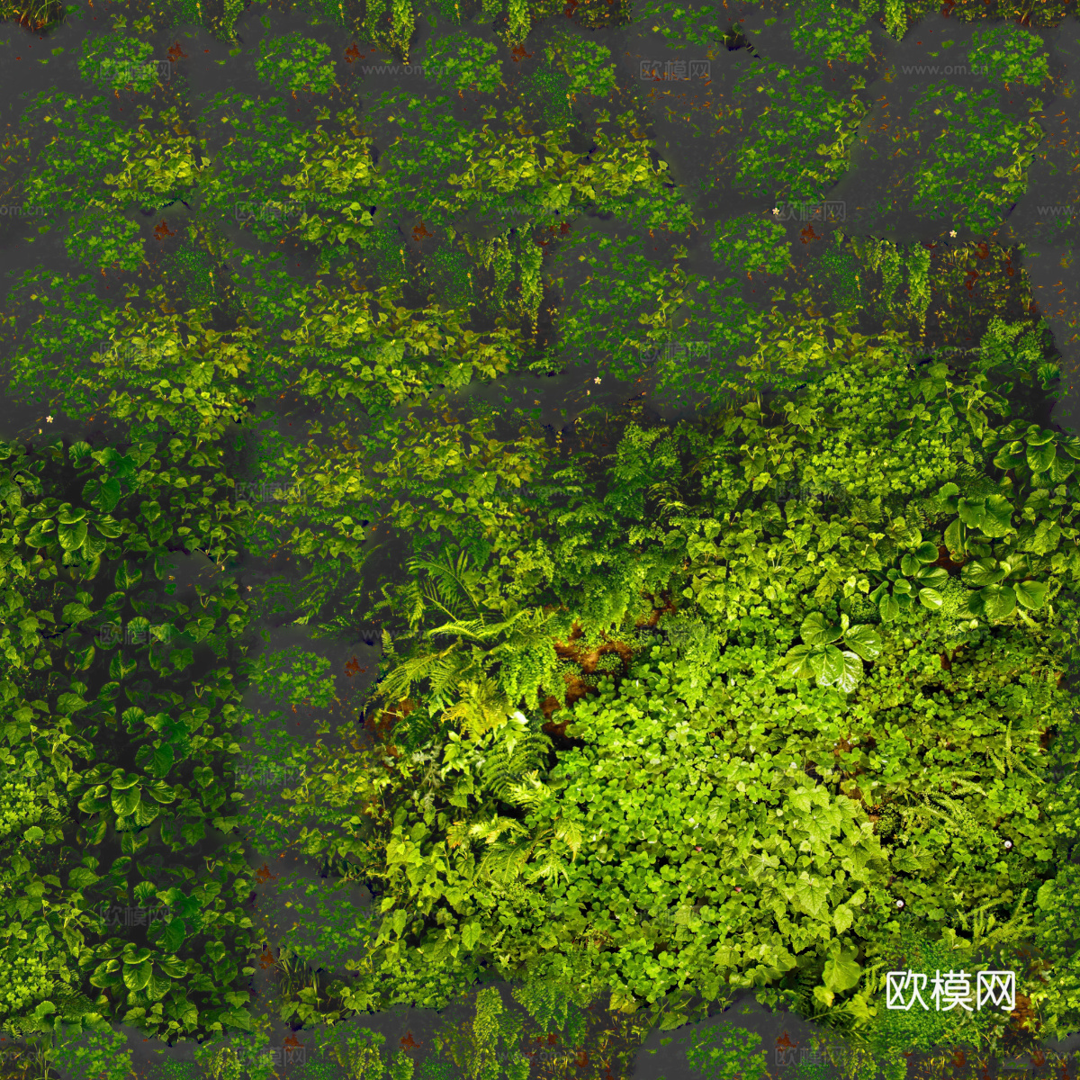 垂直绿植墙，生态绿植墙绿化墙141