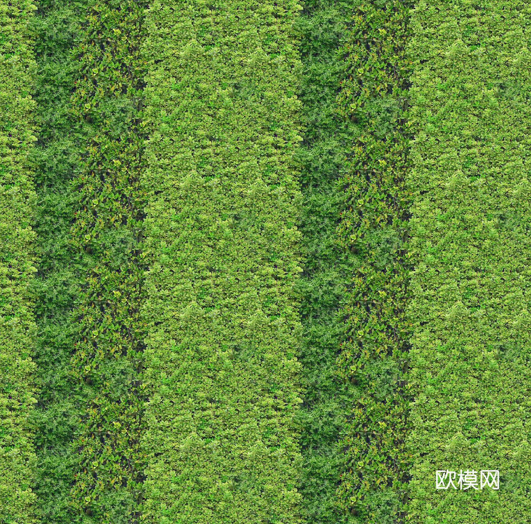 垂直绿植墙，生态绿植墙绿化墙1