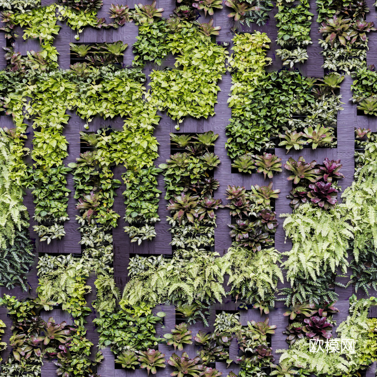 垂直绿植墙，生态绿植墙绿化墙126下载