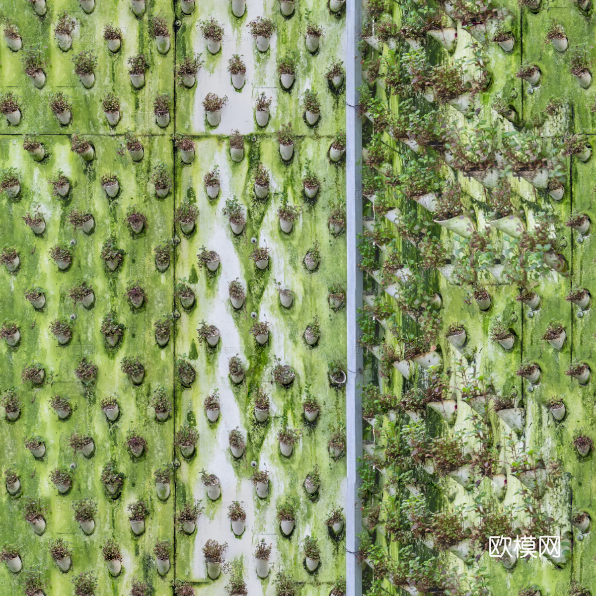 垂直绿植墙，生态绿植墙绿化墙175