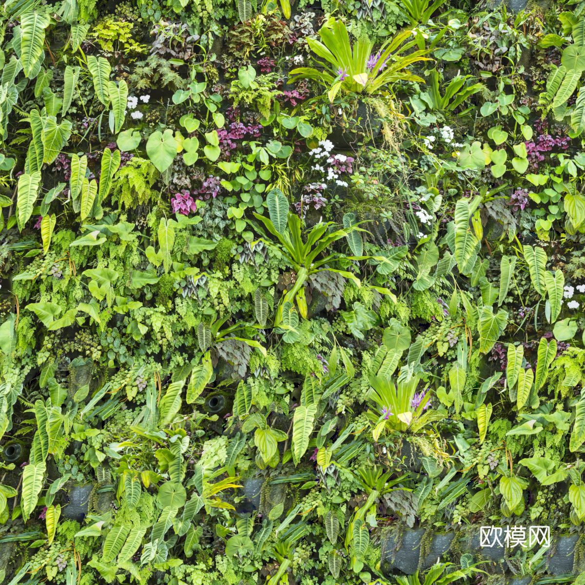 垂直绿植墙，生态绿植墙绿化墙77下载