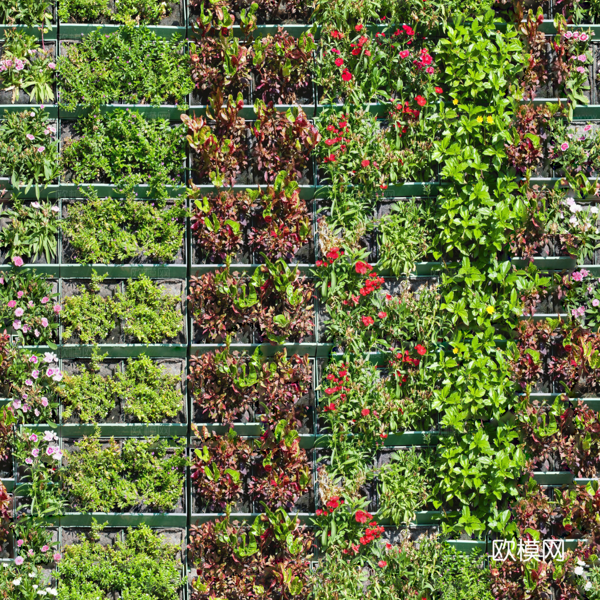 垂直绿植墙，生态绿植墙绿化墙91下载