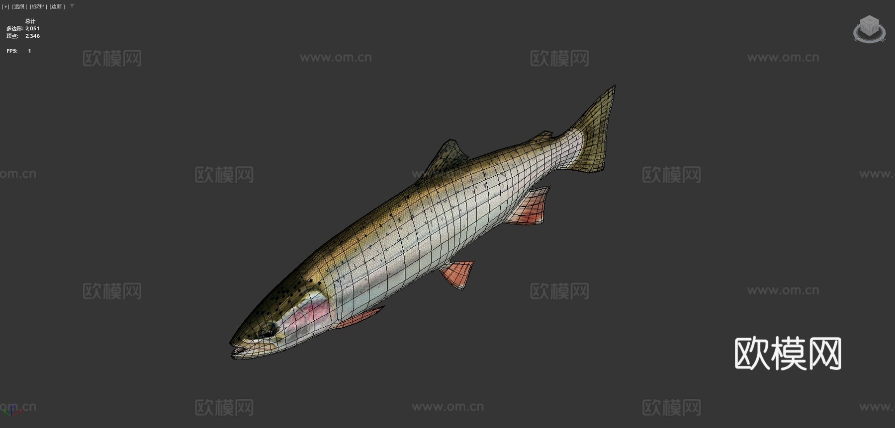 鳟鱼3d模型下载（渲染图4）