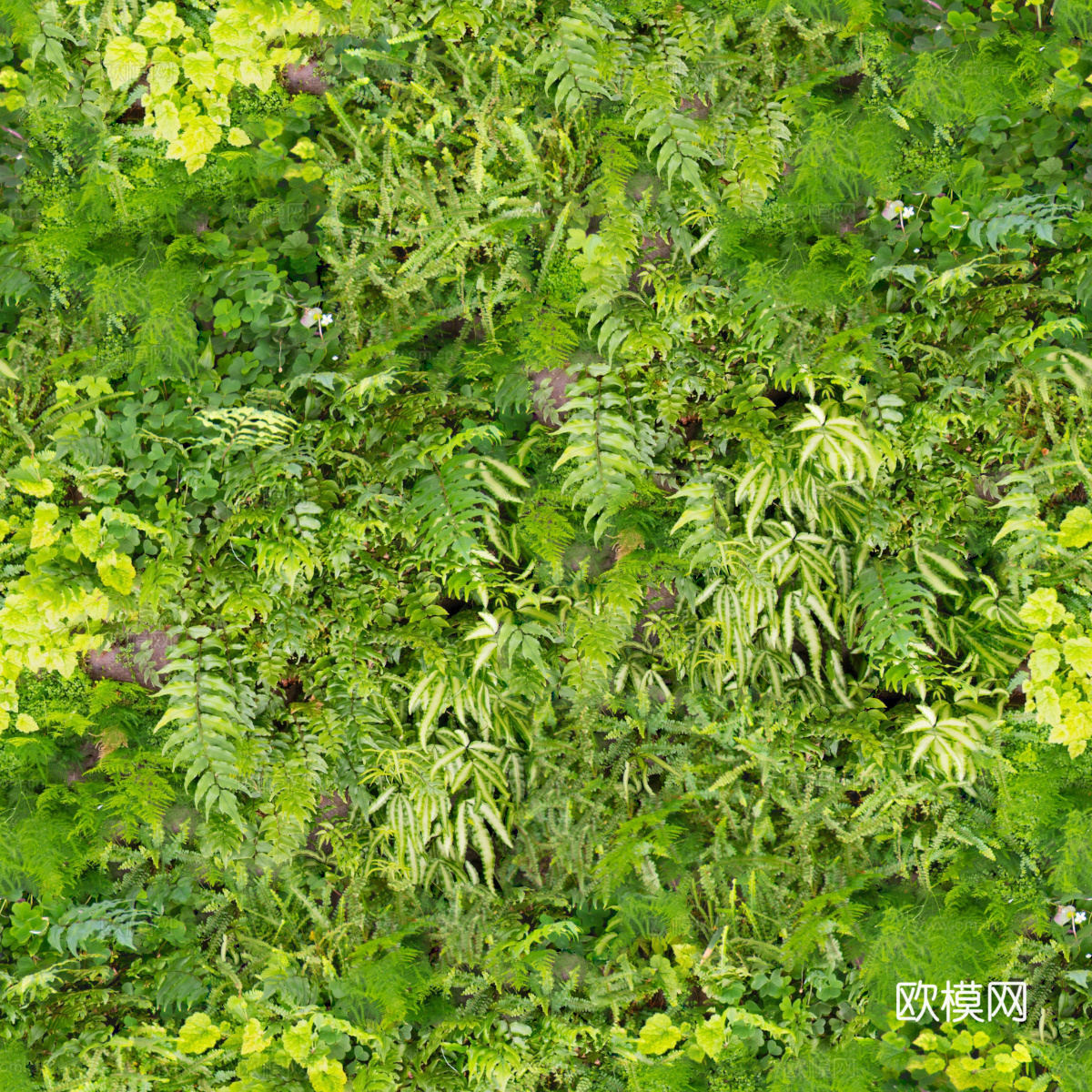 垂直绿植墙，生态绿植墙绿化墙138