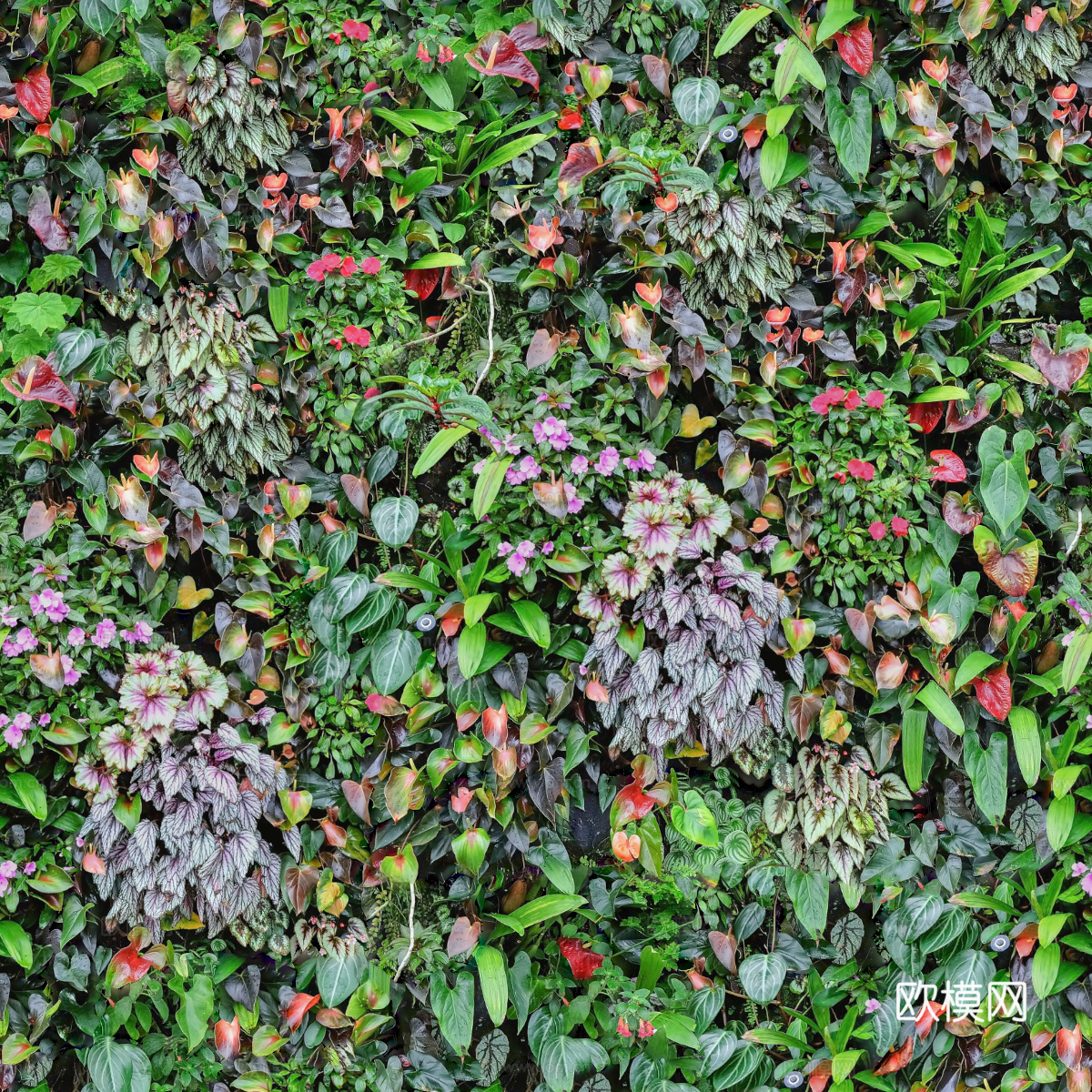 垂直绿植墙，生态绿植墙绿化墙216下载