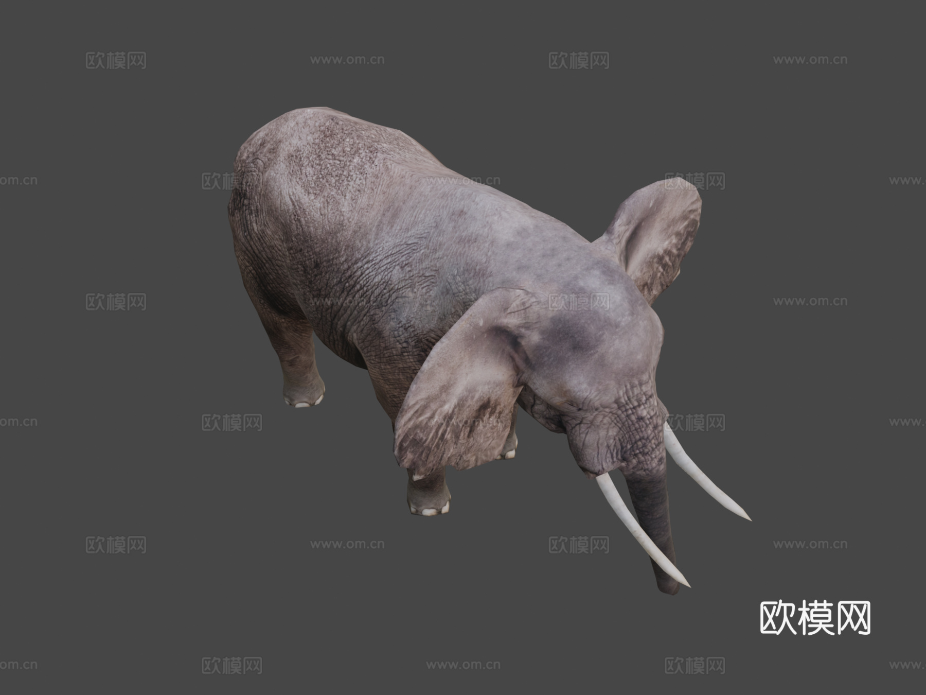 大象3d模型下载（渲染图8）