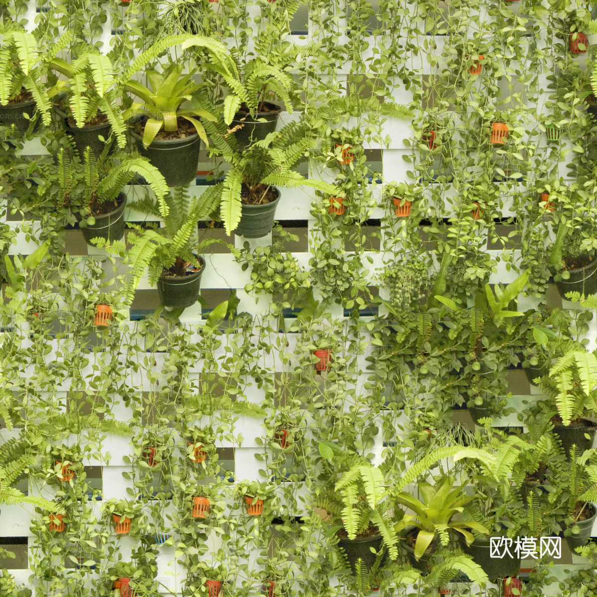 垂直绿植墙，生态绿植墙绿化墙114