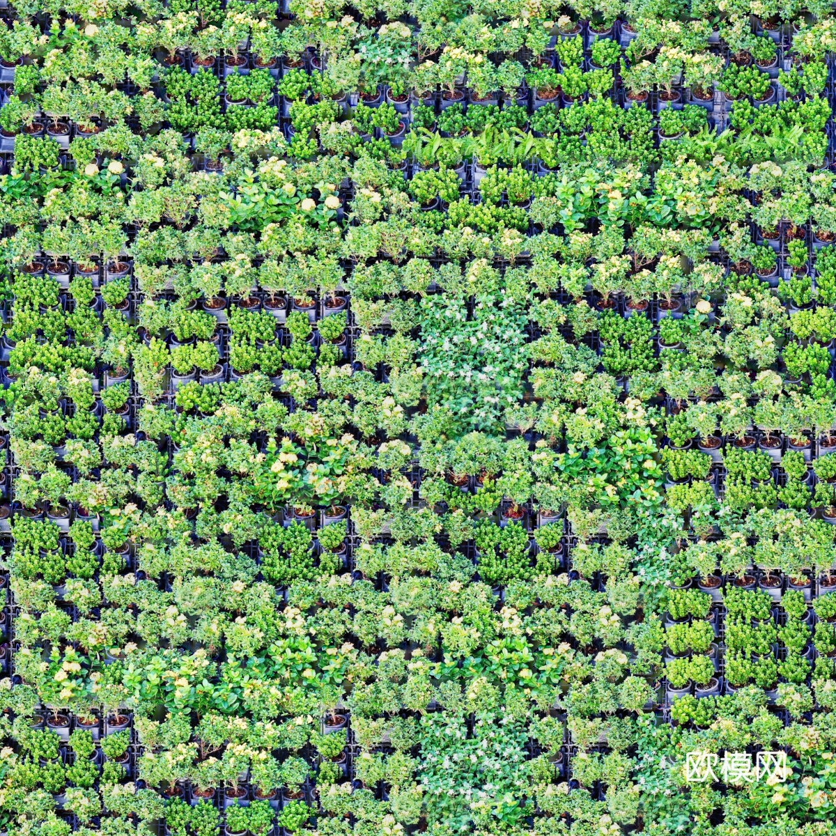 垂直绿植墙，生态绿植墙绿化墙193