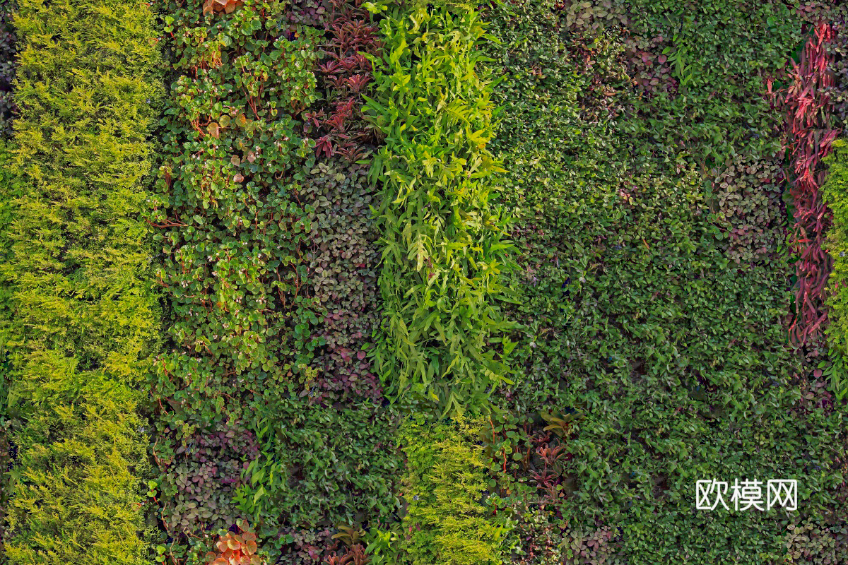 垂直绿植墙，生态绿植墙绿化墙5