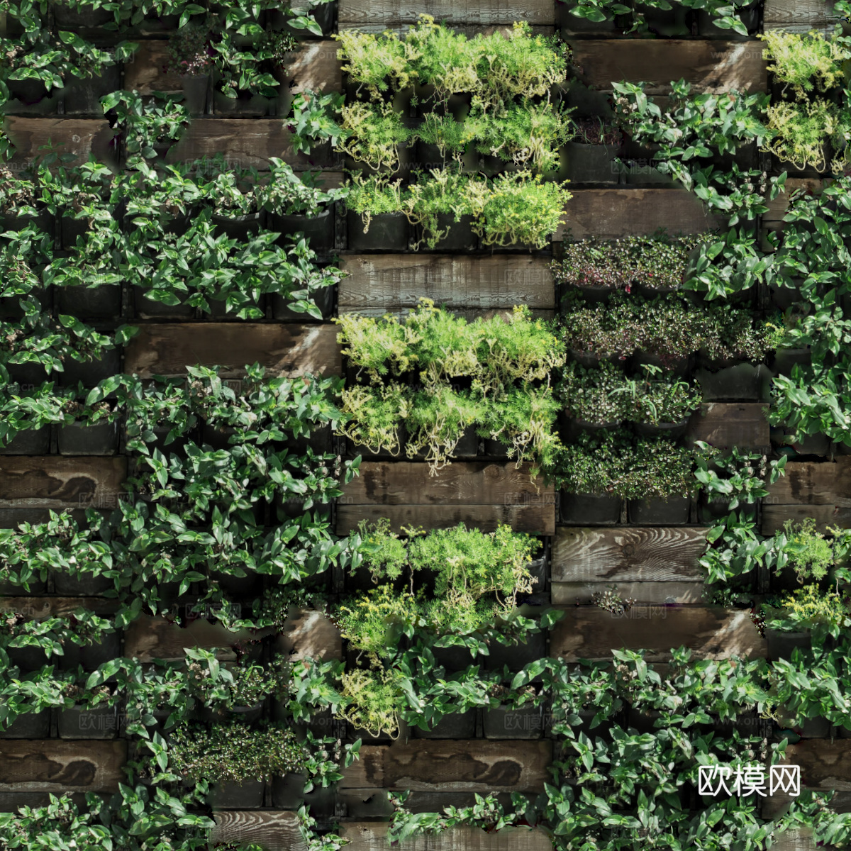 垂直绿植墙，生态绿植墙绿化墙215下载