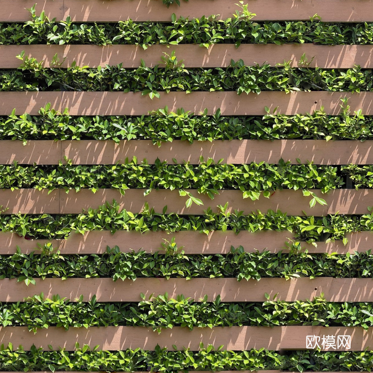 垂直绿植墙，生态绿植墙绿化墙182