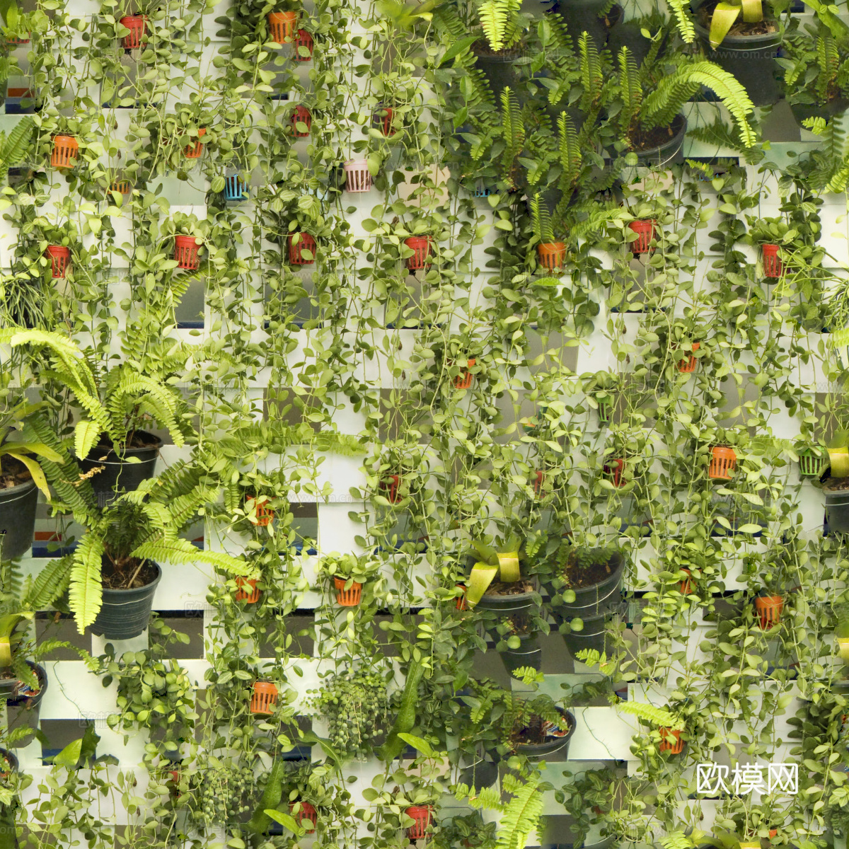 垂直绿植墙，生态绿植墙绿化墙102