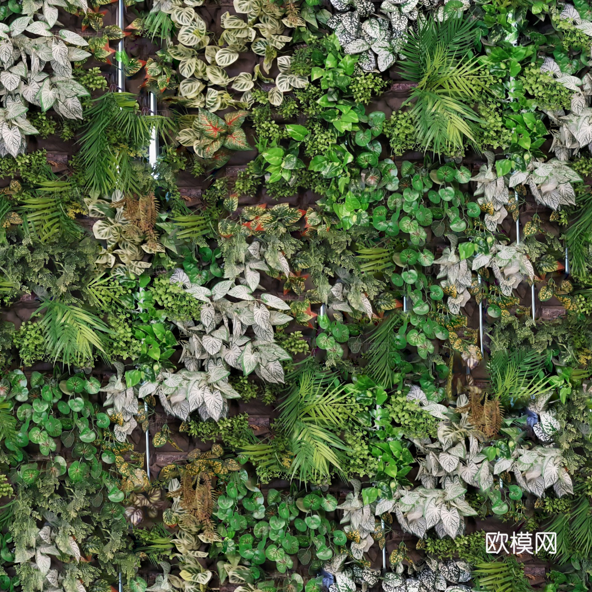 垂直绿植墙，生态绿植墙绿化墙185下载