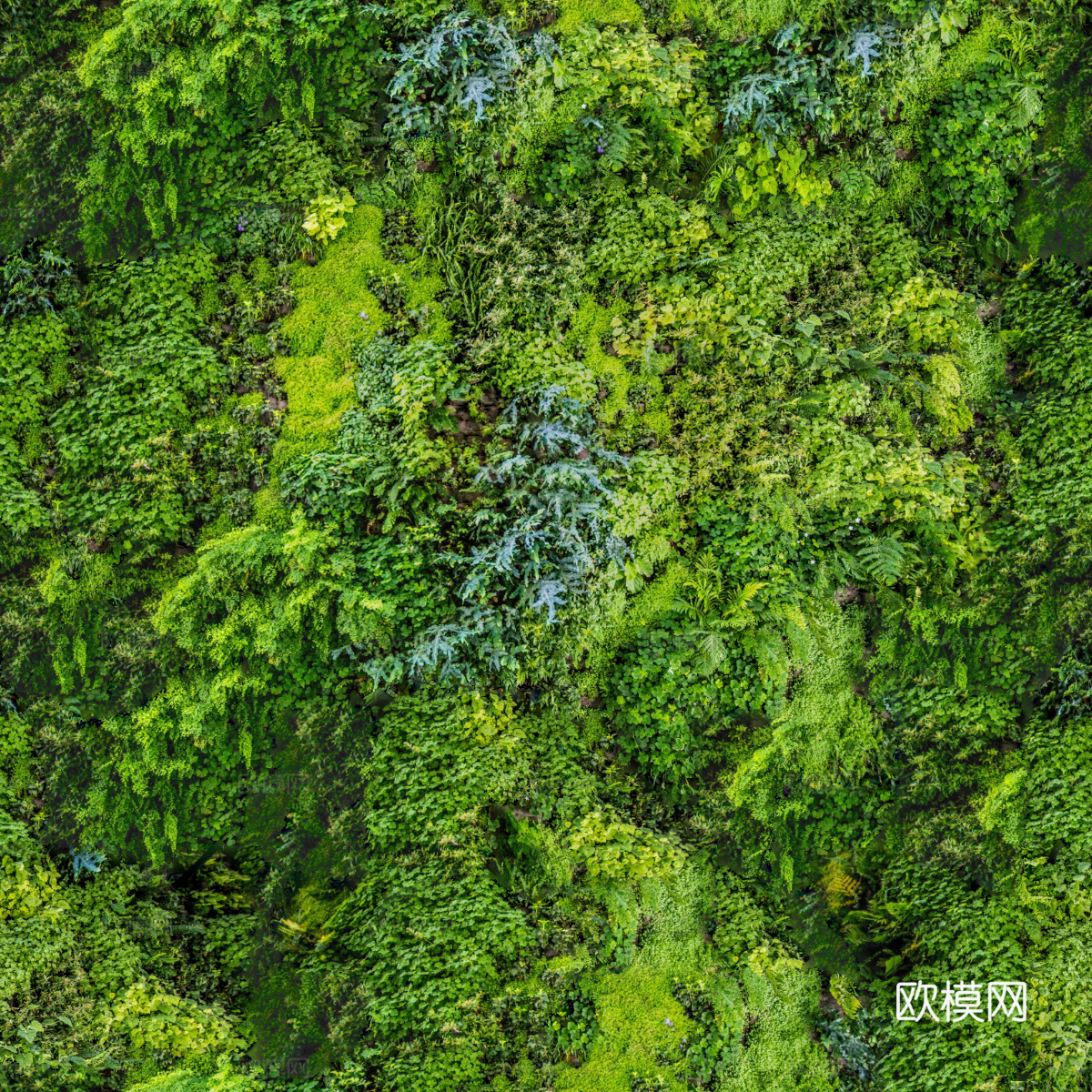 垂直绿植墙，生态绿植墙绿化墙136