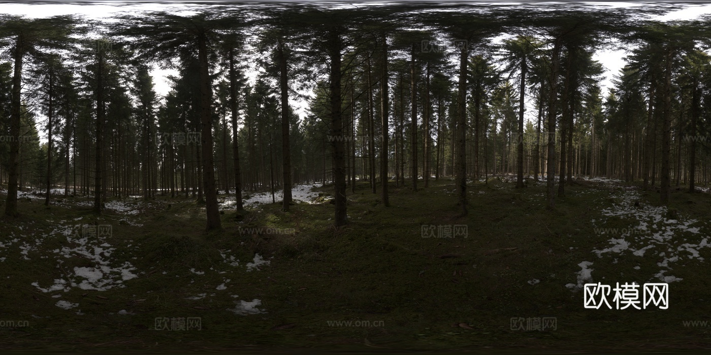 户外树林绿地阴天DHR