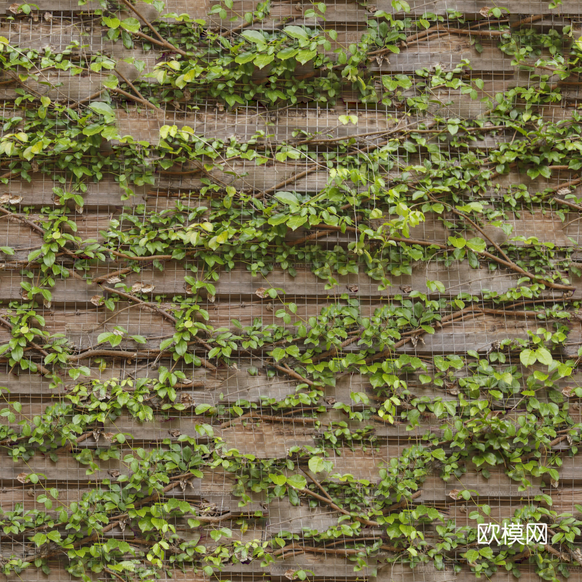 垂直绿植墙，生态绿植墙绿化墙122