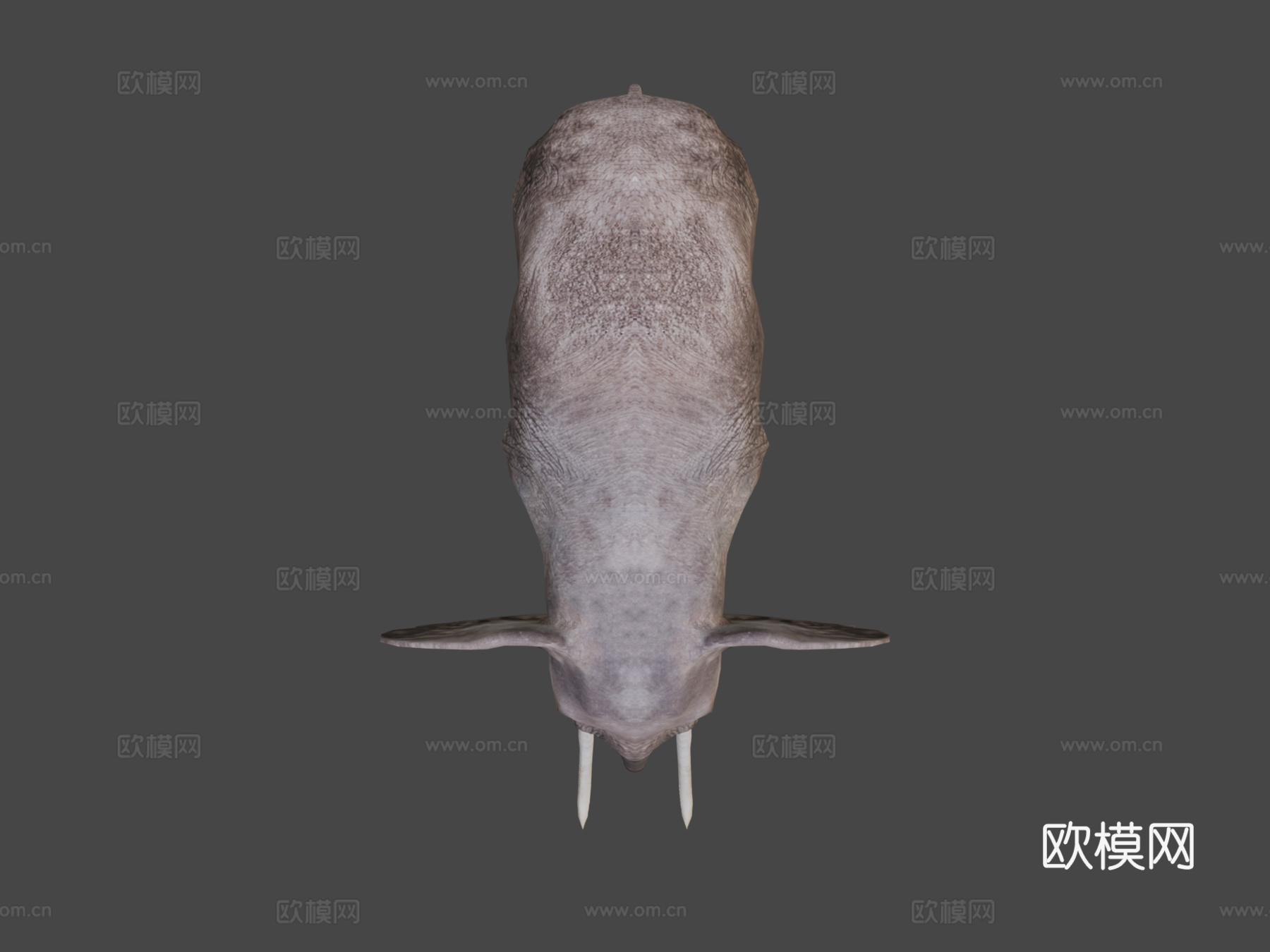 大象3d模型下载（渲染图6）