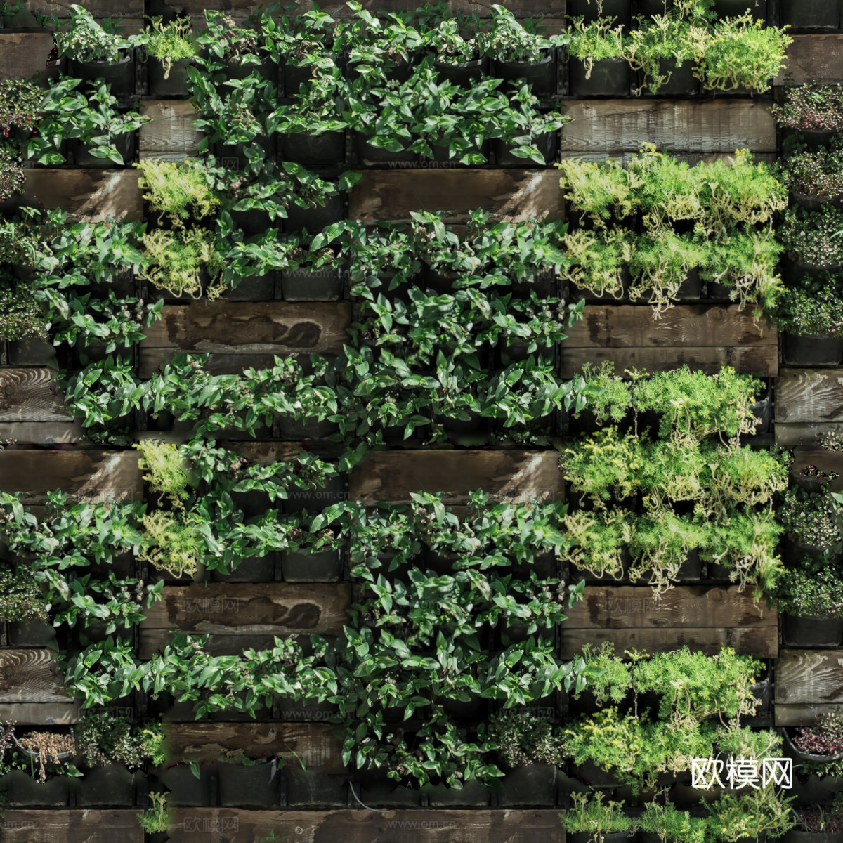 垂直绿植墙，生态绿植墙绿化墙214下载