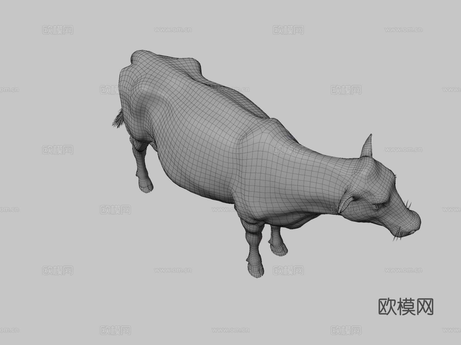 奶牛美丽动物nyilonelycompanytheappgo3d模型下载（渲染图3）