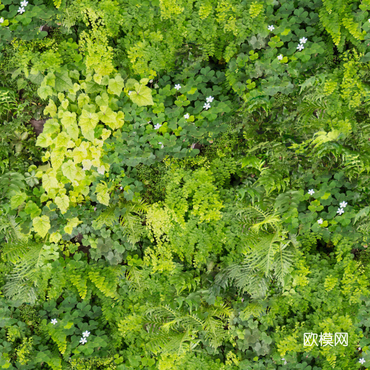垂直绿植墙，生态绿植墙绿化墙86下载