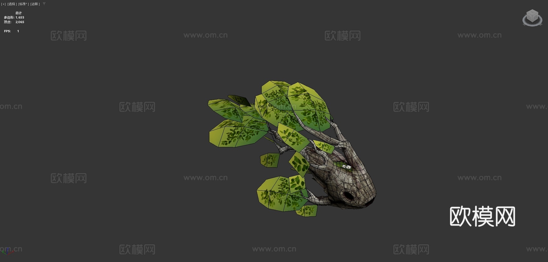 森林鱼3d模型下载（渲染图4）