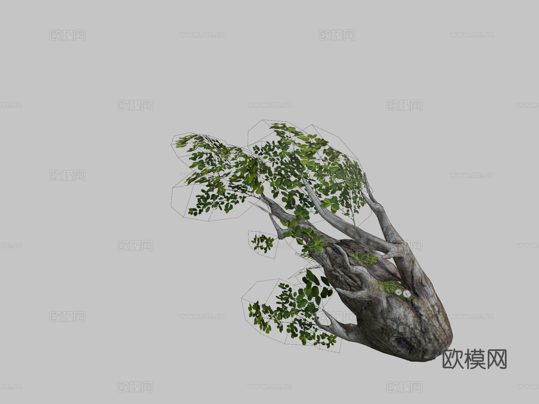 森林鱼3d模型下载（渲染图2）