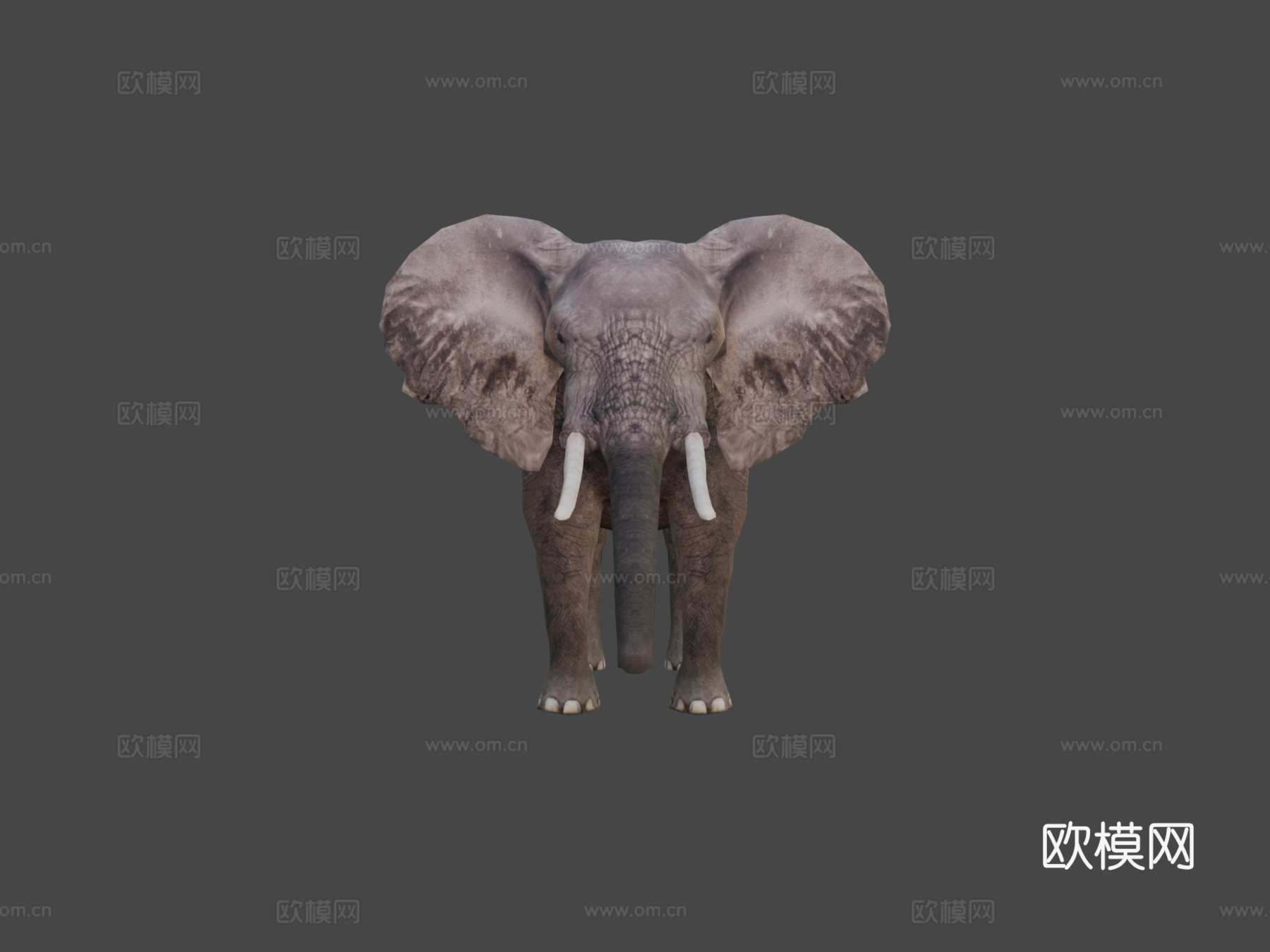 大象3d模型下载（渲染图5）