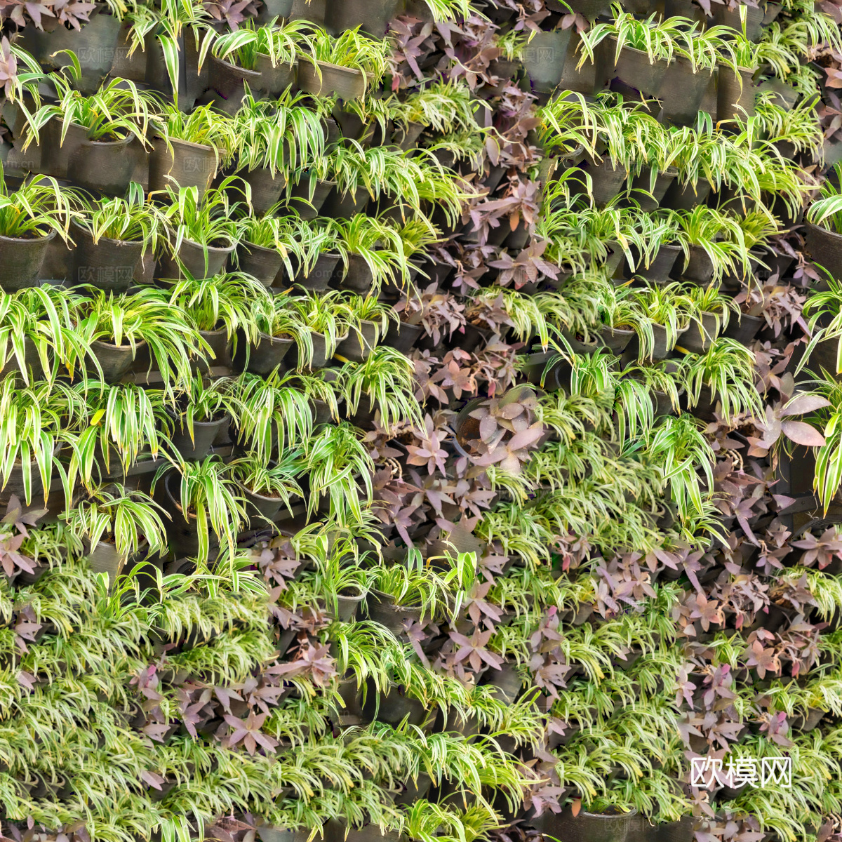 垂直绿植墙，生态绿植墙绿化墙212下载
