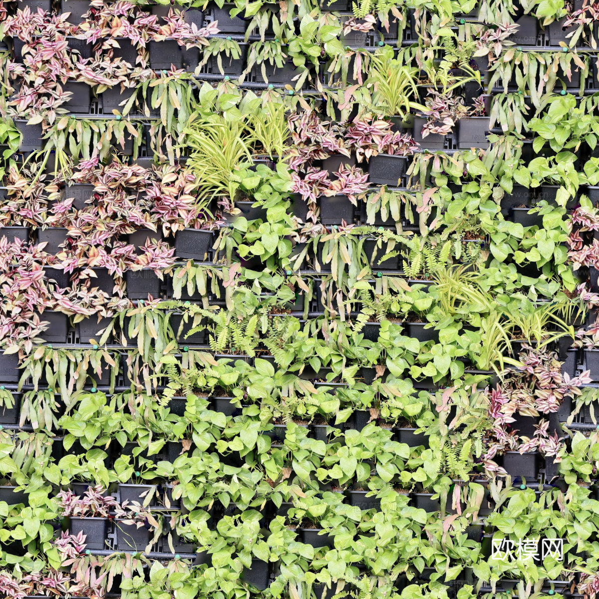 垂直绿植墙，生态绿植墙绿化墙131
