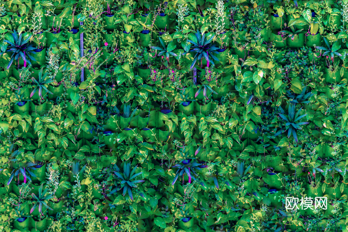 垂直绿植墙，生态绿植墙绿化墙255下载
