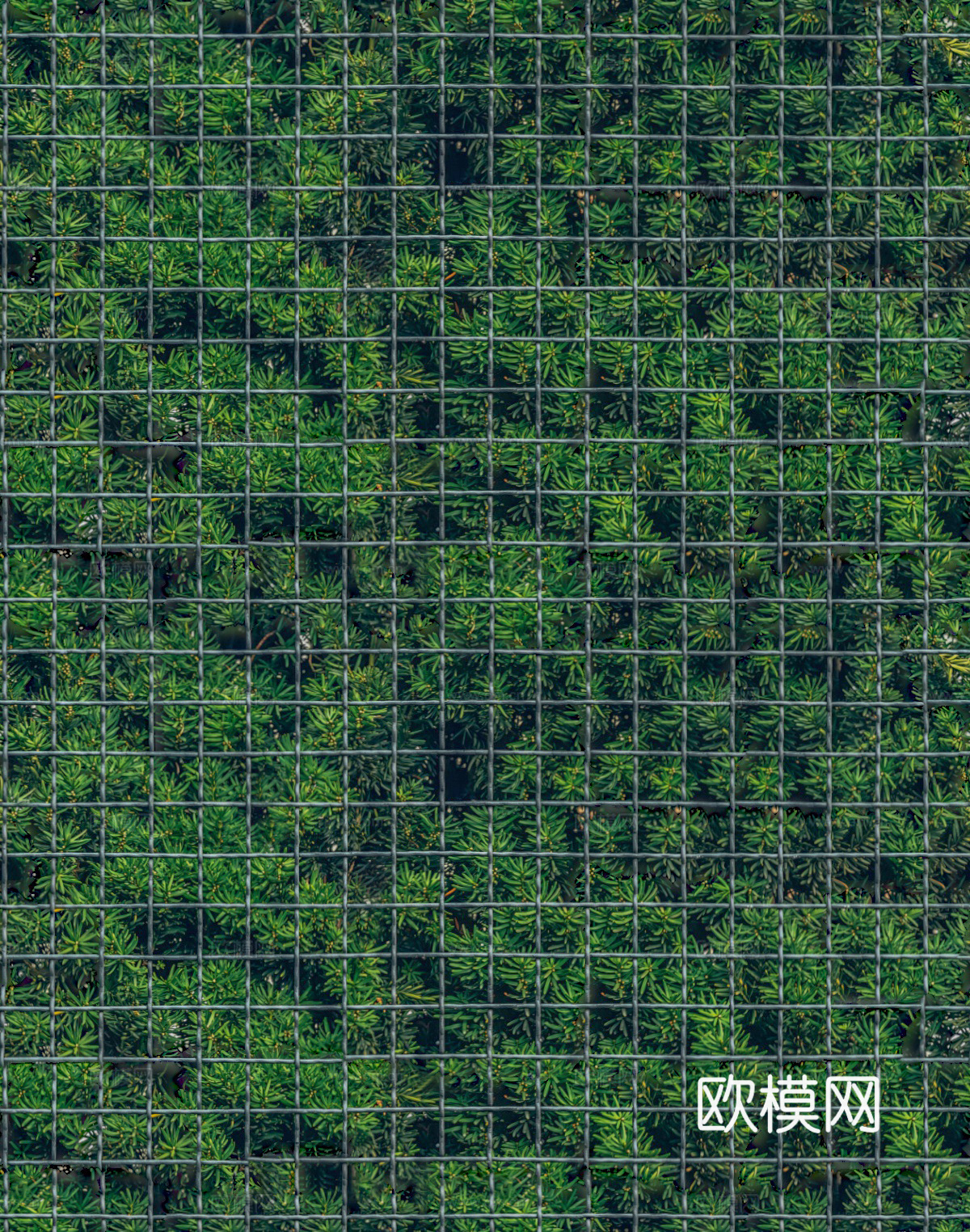 垂直绿植墙，生态绿植墙绿化墙53下载