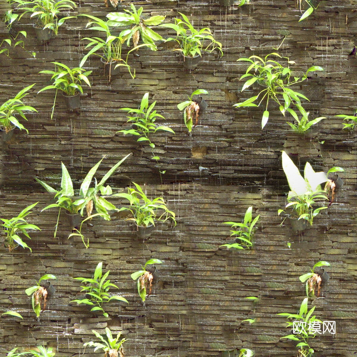 垂直绿植墙，生态绿植墙绿化墙106下载