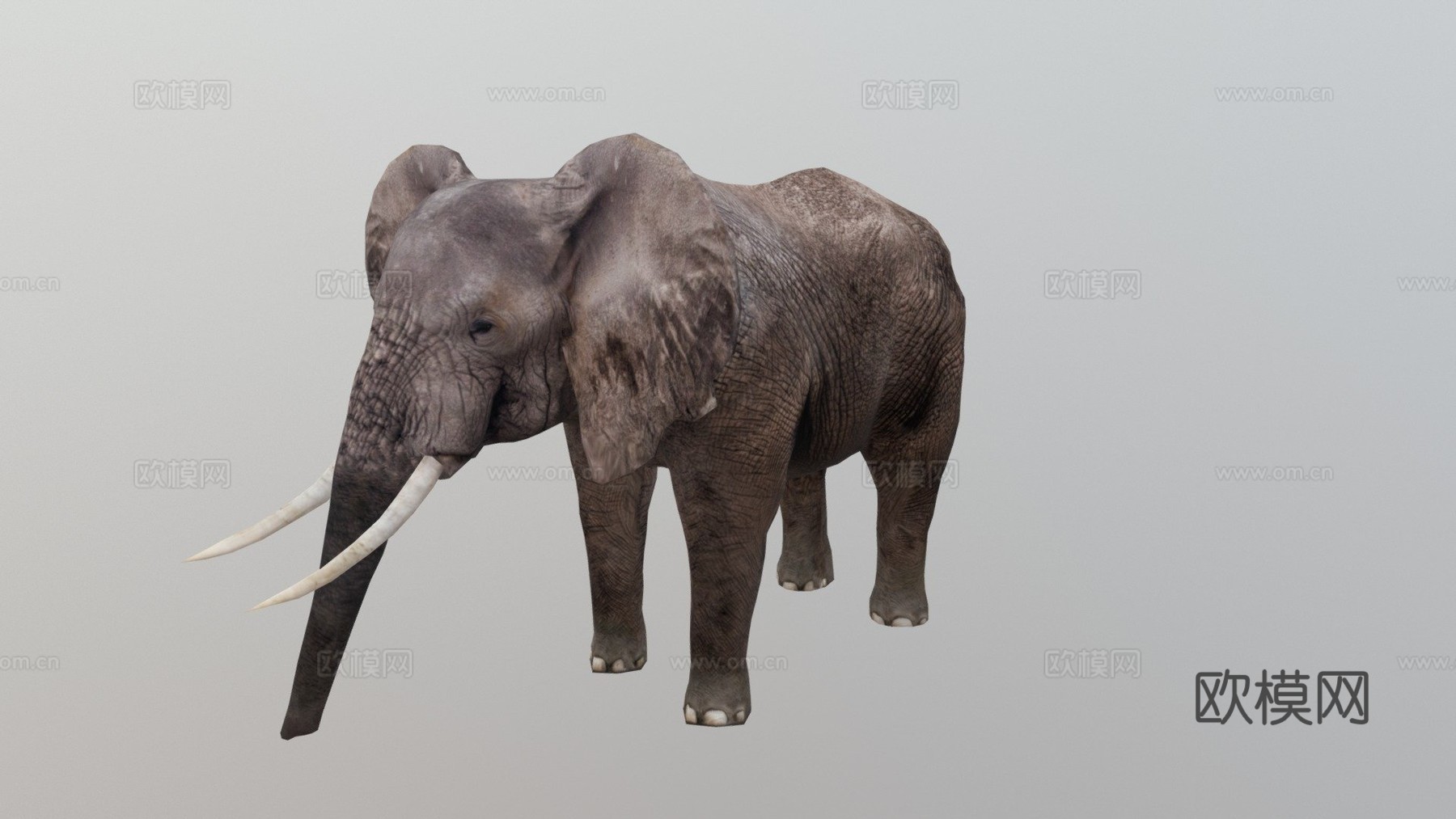 大象3d模型下载（渲染图1）