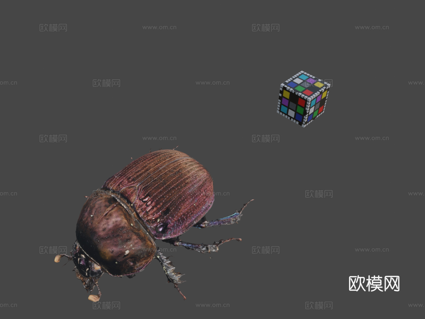 CC0粪金龟3d模型下载（渲染图1）