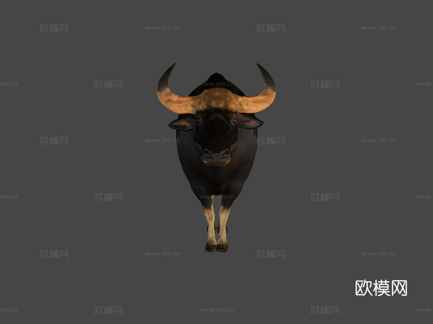 马来亚印度野牛濒危3d模型下载（渲染图5）