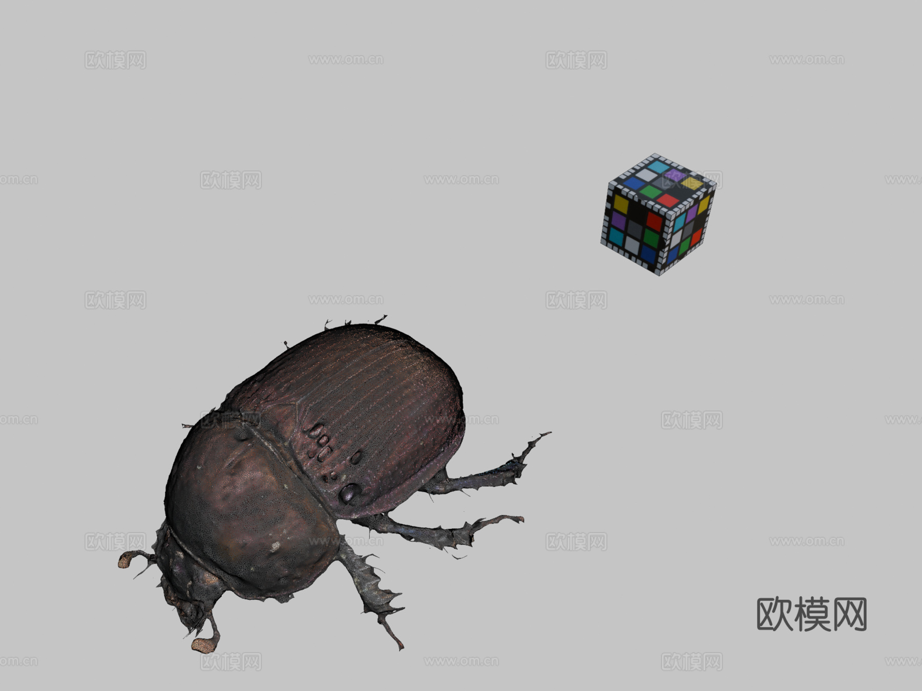CC0粪金龟3d模型下载（渲染图2）