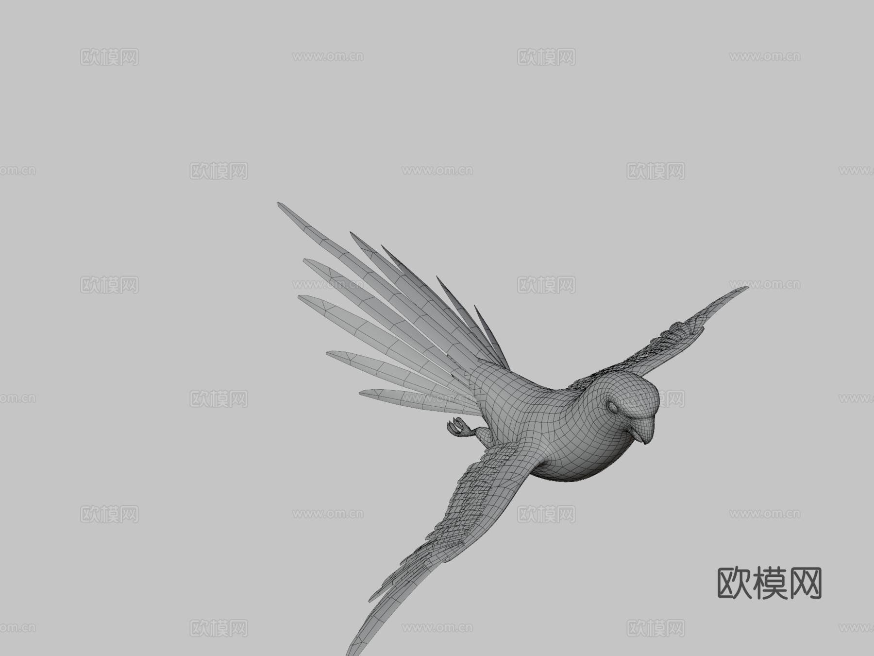 鹦鹉3d模型下载（渲染图3）