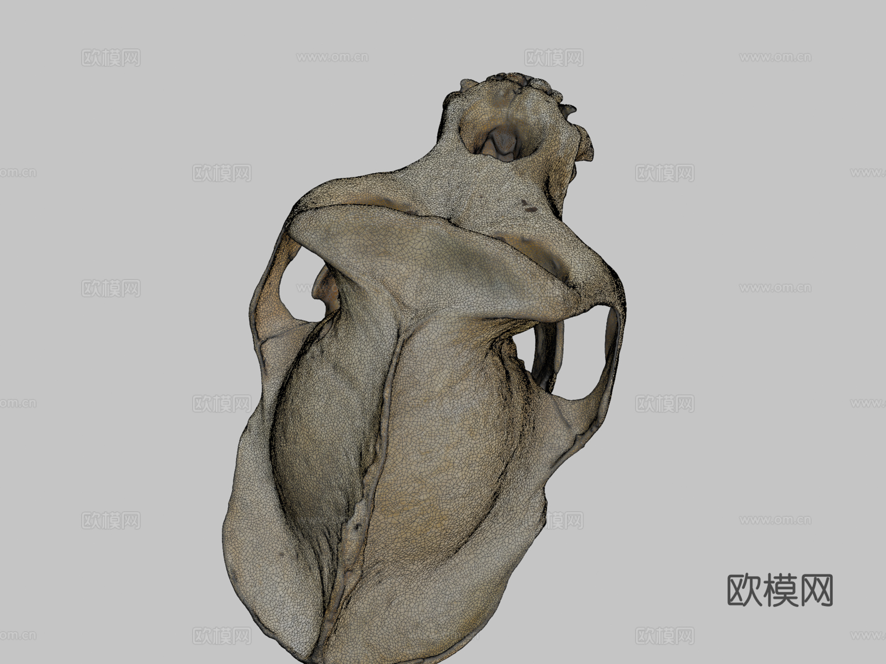 西部低地大猩猩3d模型下载（渲染图2）