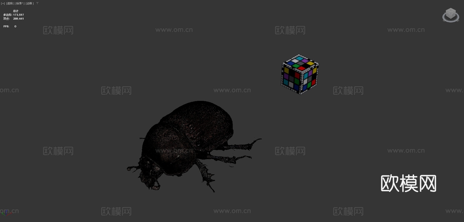 CC0粪金龟3d模型下载（渲染图4）