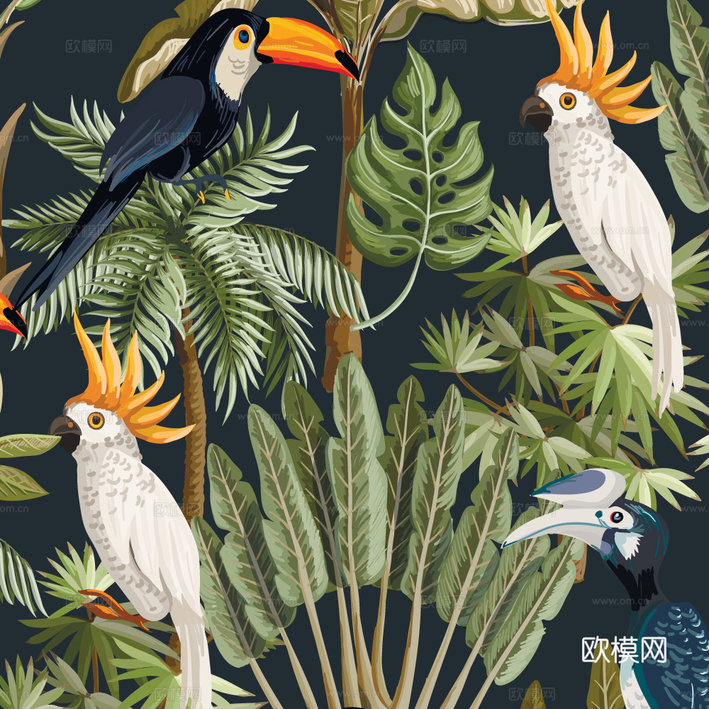 小清晰动植物图案纹理肌理33