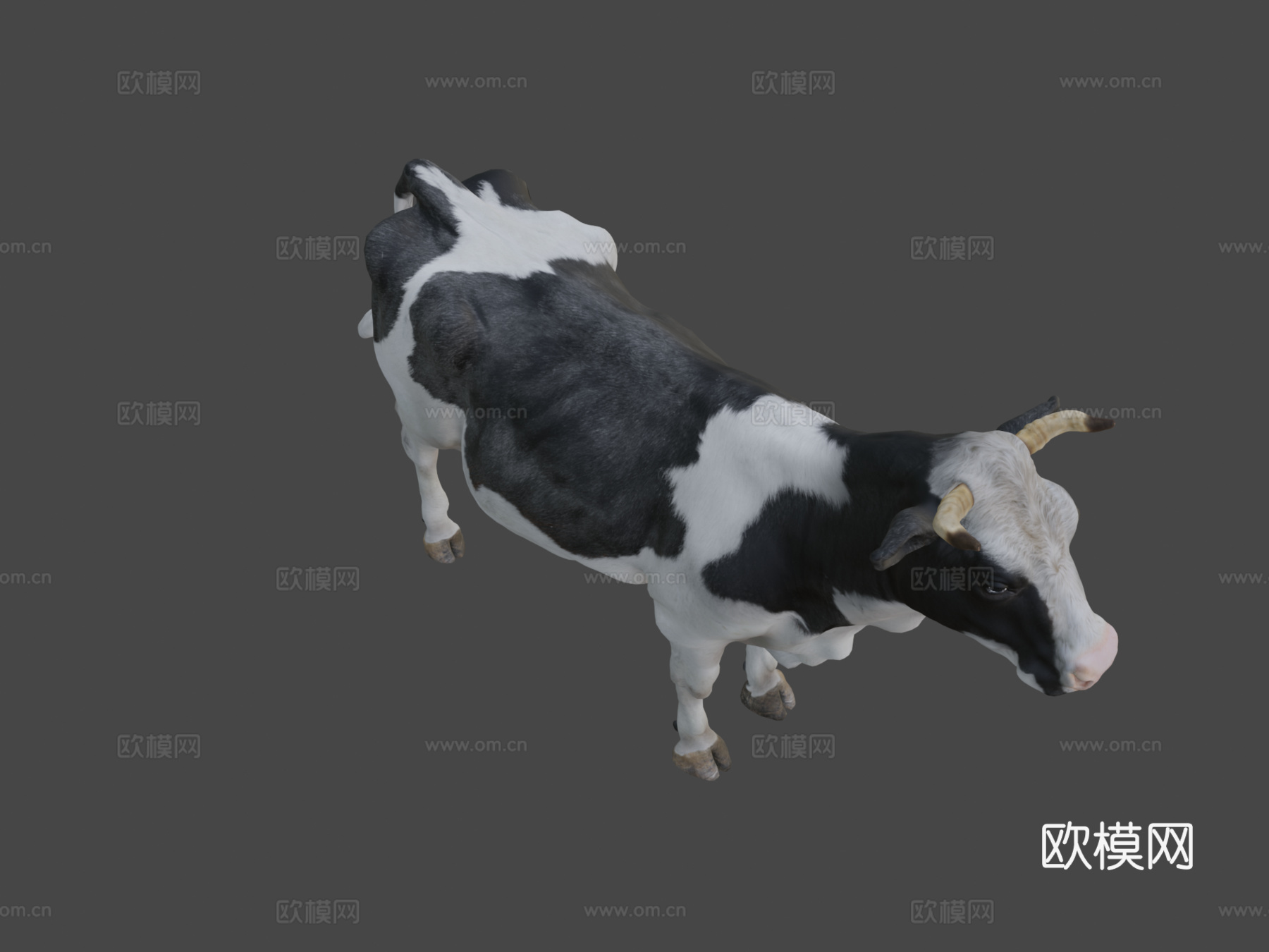 奶牛3d模型下载（渲染图8）