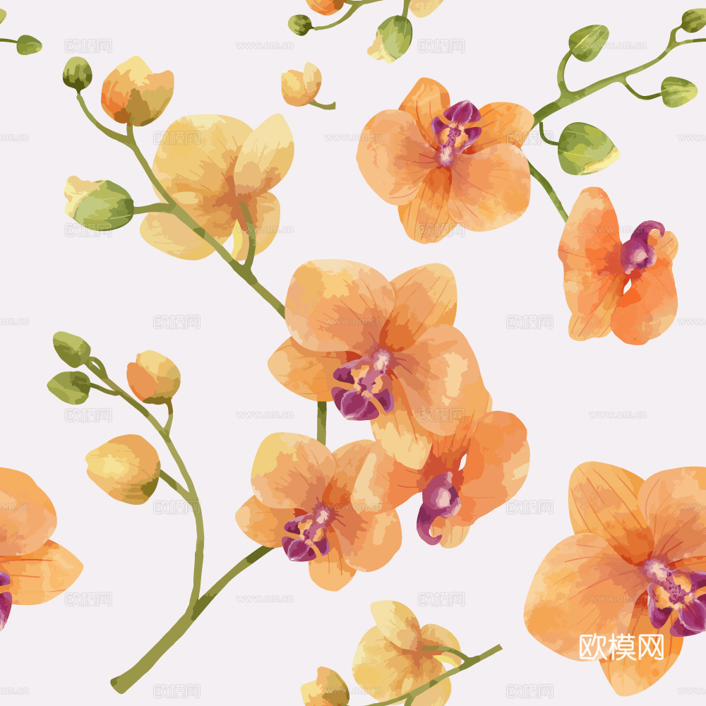 小清晰动植物图案纹理肌理37