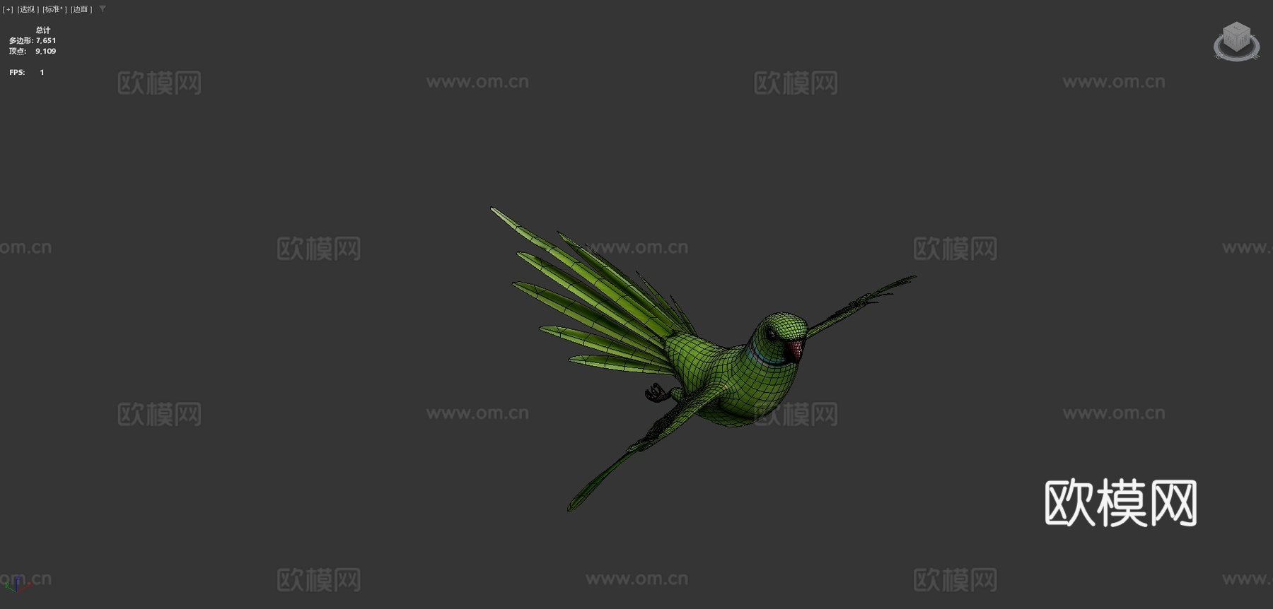 鹦鹉3d模型下载（渲染图4）