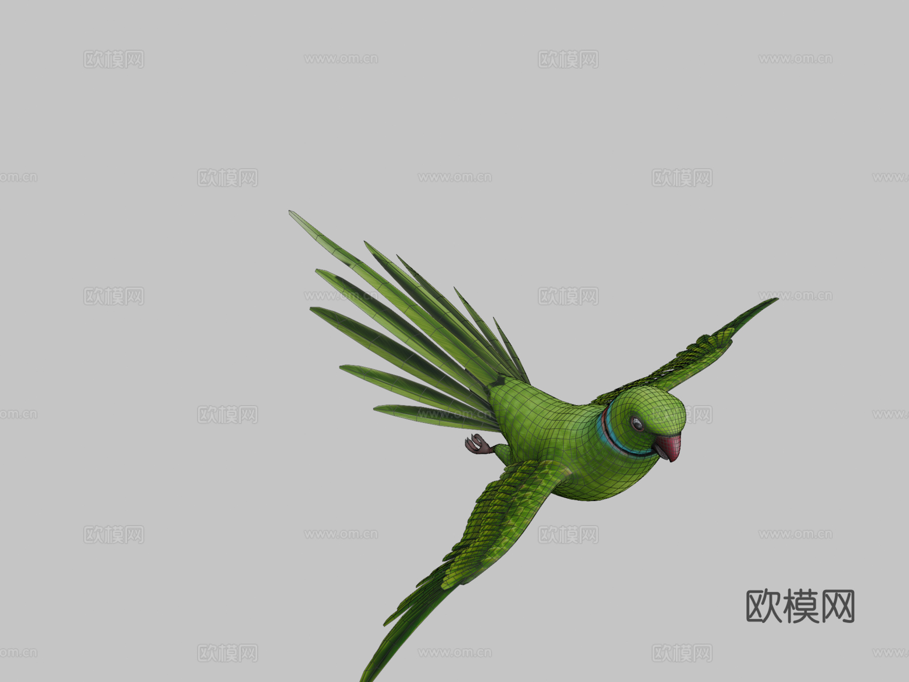鹦鹉3d模型下载（渲染图2）