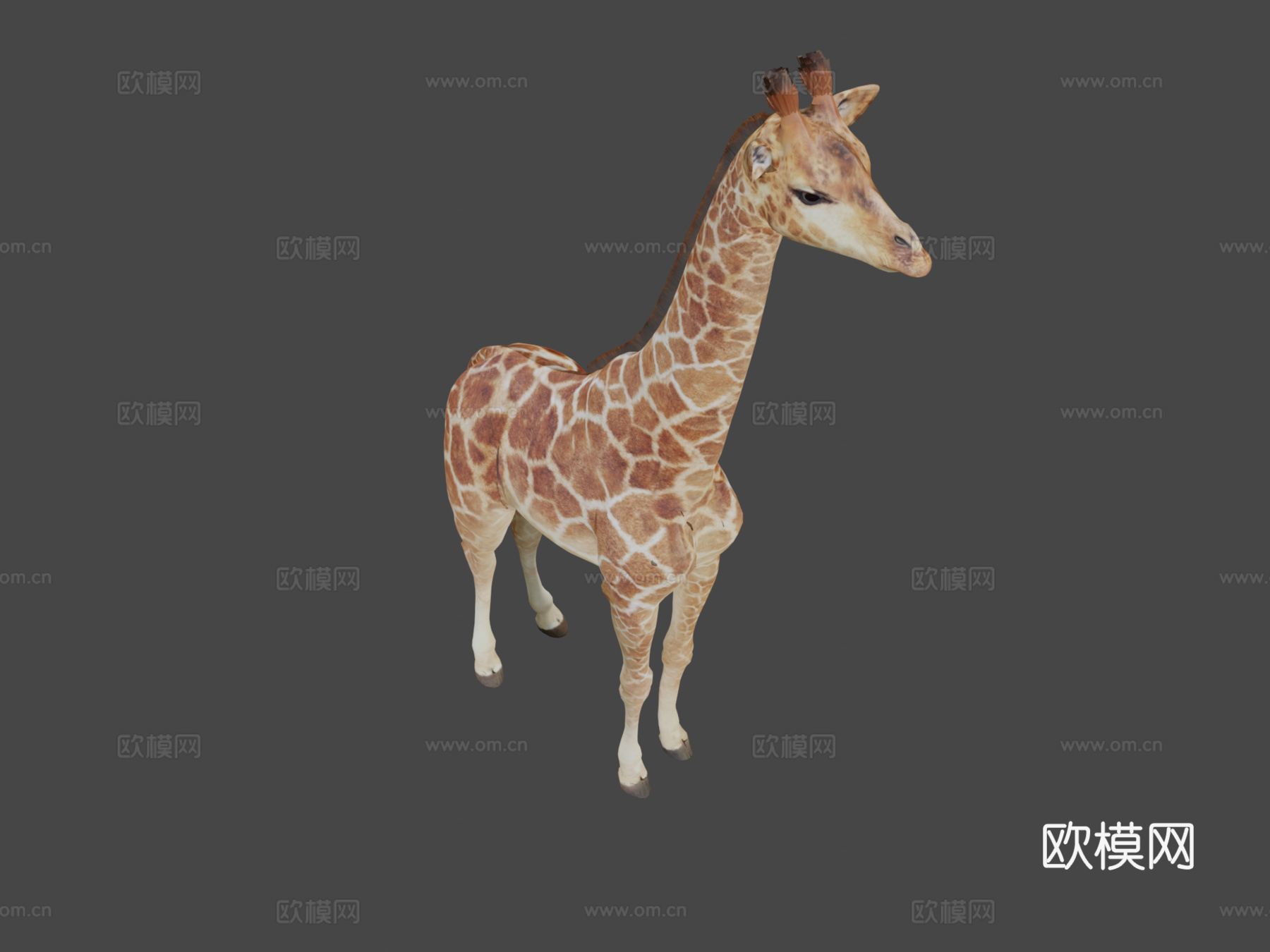 闪亮长颈鹿3d模型下载（渲染图8）