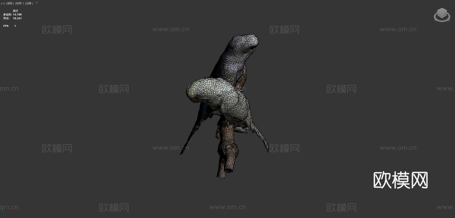 两只长尾鹦鹉带声音3d模型下载（渲染图4）