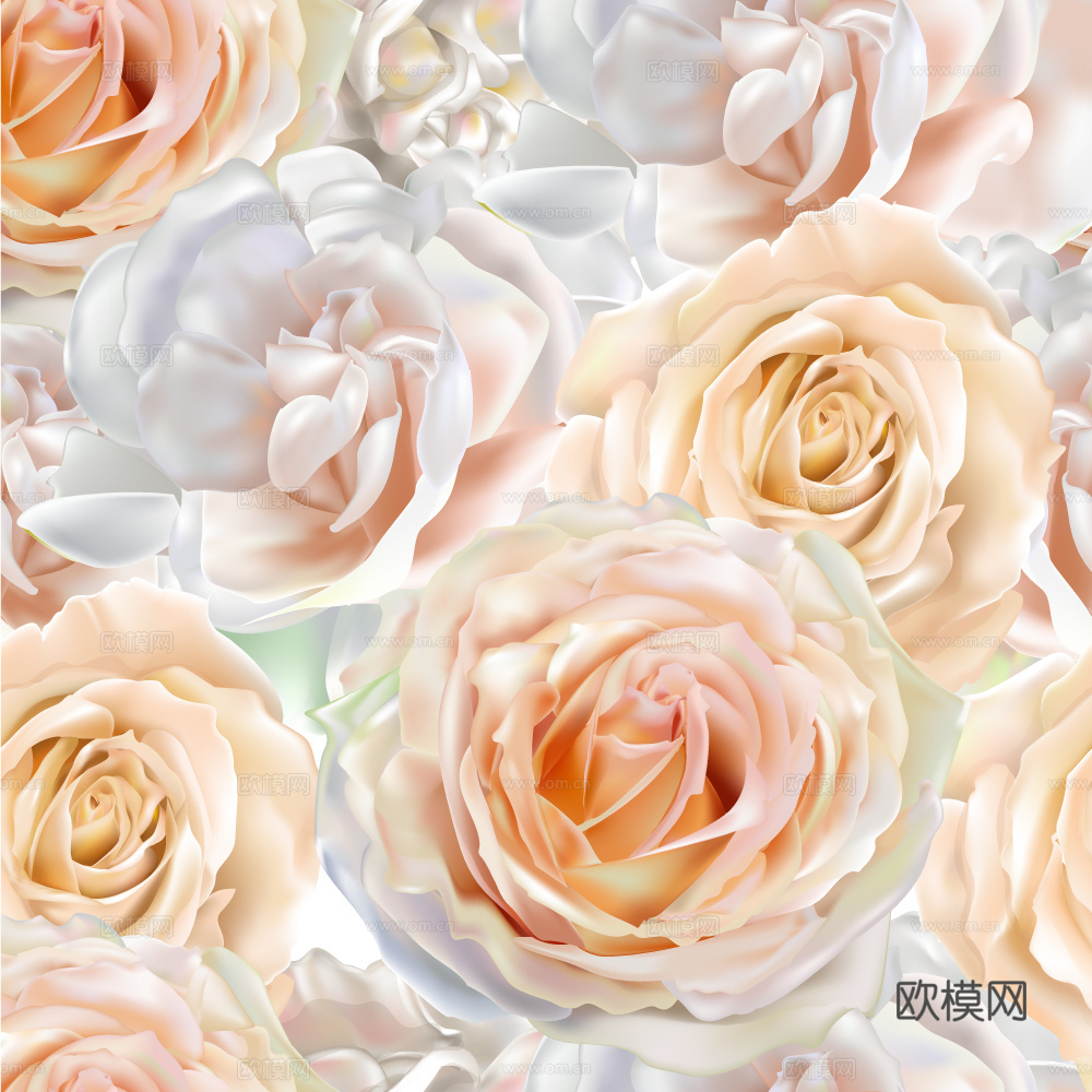 小清晰动植物图案纹理肌理24