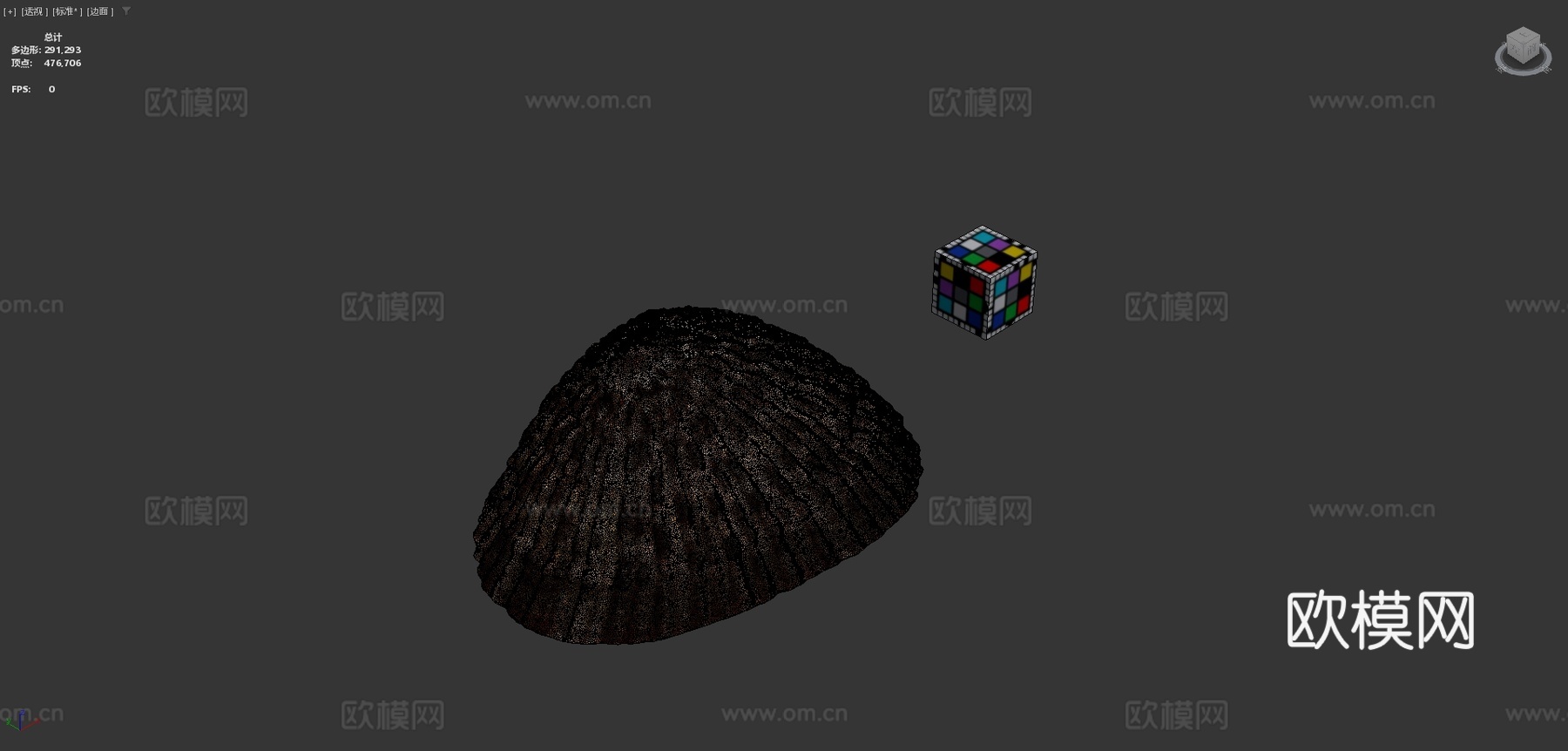 CC0琥珀伞日本格氏帽贝C.grata3d模型下载（渲染图4）